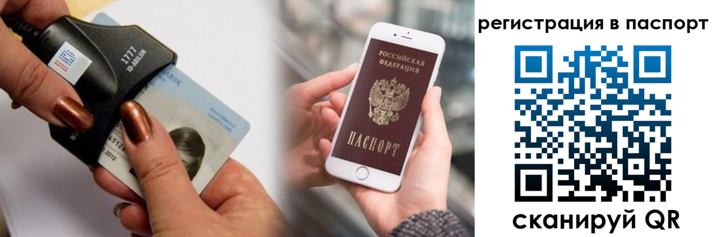 найти адрес прописки в Балтийске